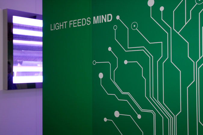 designers' saturday_light feeds mind