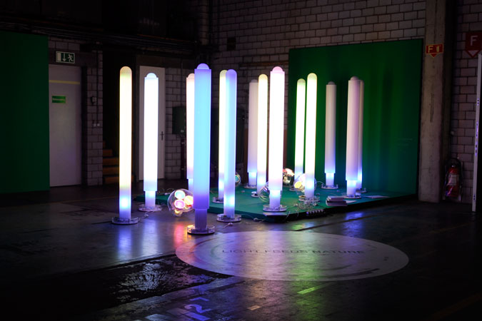 designers' saturday_light feeds nature
