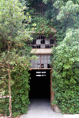 la biennale 2012_visit on site