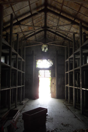 la biennale 2012_visit on site