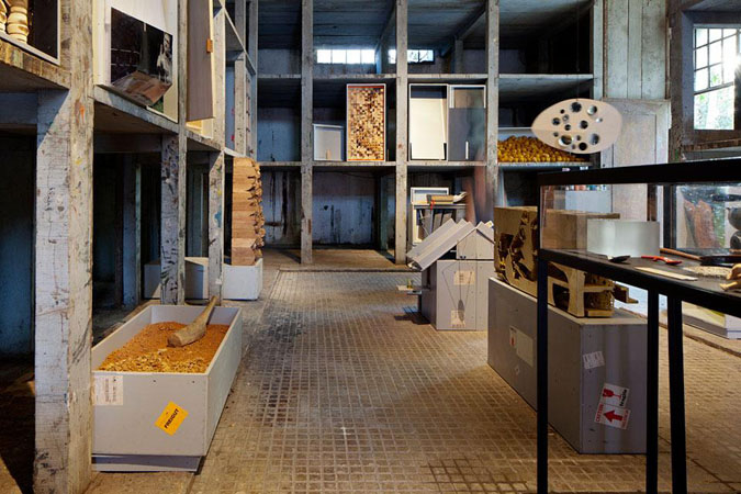 la biennale 2012_wunderkammer
